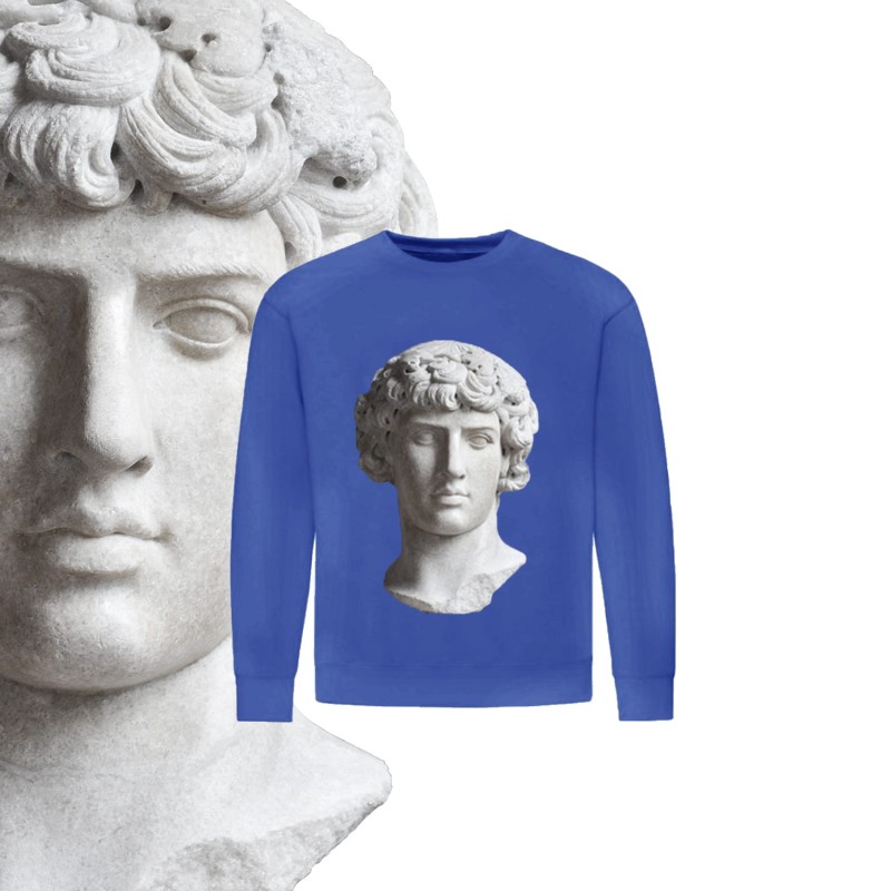 bluza DAVID  niebieska M.jpg